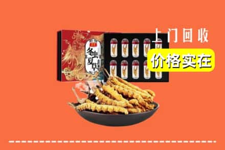 台湾新北市回收冬虫夏草